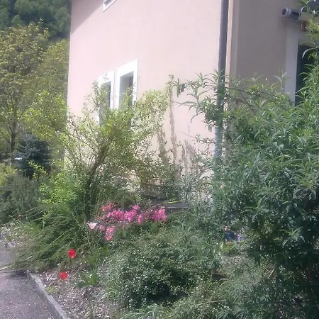 Inn Ristorante Garni Lavizzara Sornico
