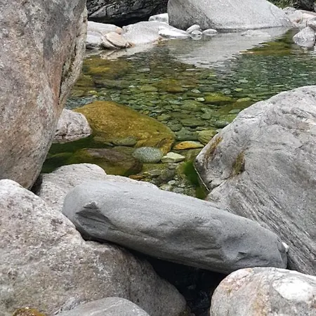 Inn Ristorante Garni Lavizzara
